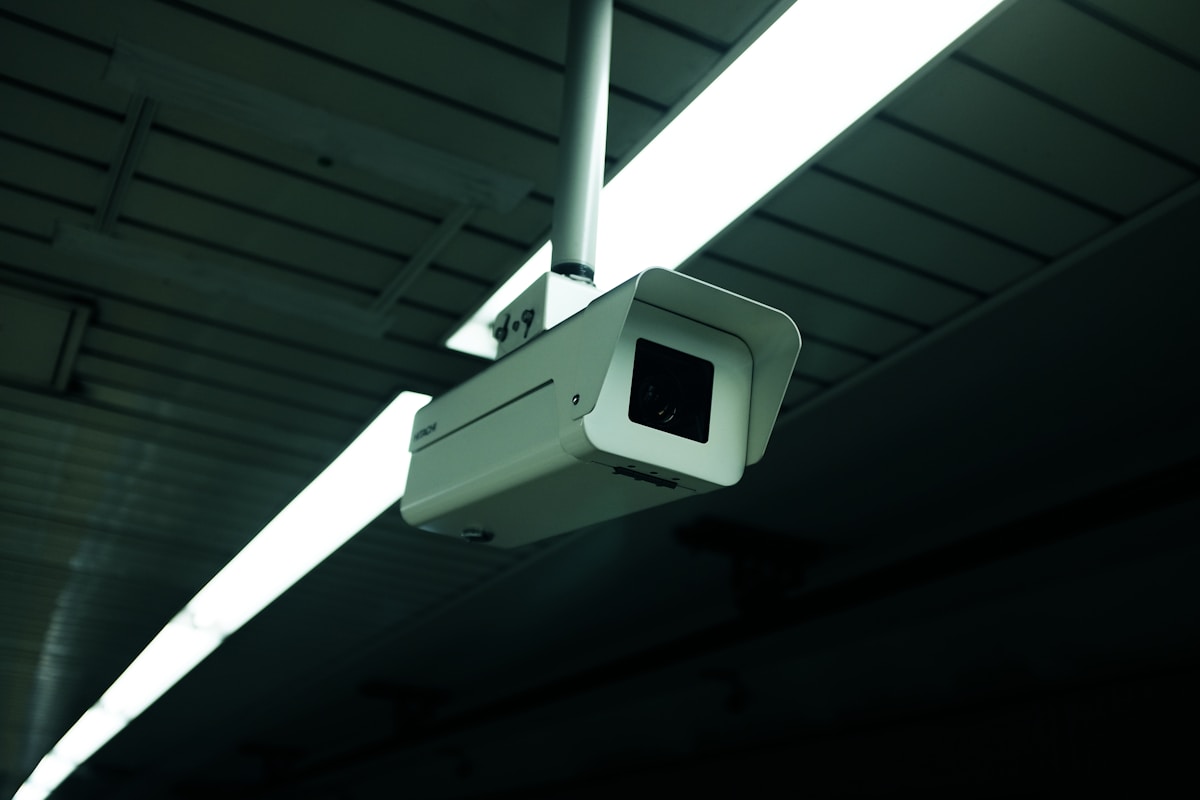 Cámaras de vigilancia DVR e IP